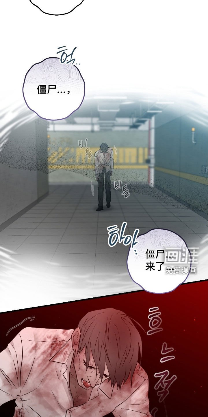 第102章：【第二季】幻觉