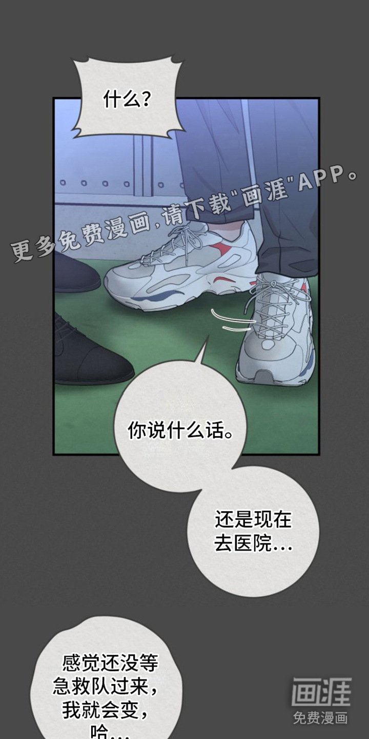 第12章：没法瞧