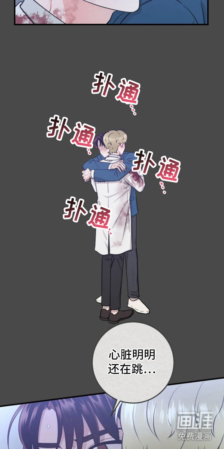 第12章：没法瞧