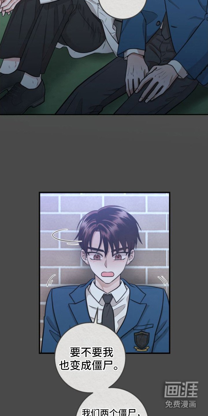 第12章：没法瞧