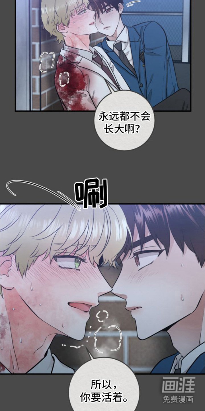 第12章：没法瞧
