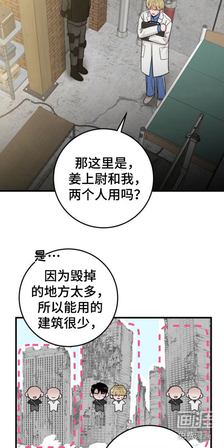 第16章：视频汇报