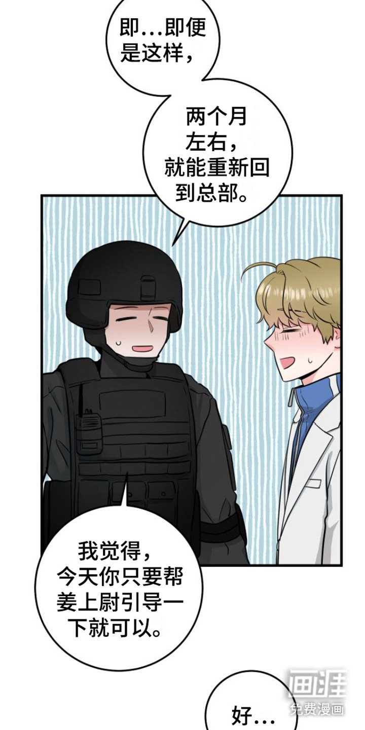第16章：视频汇报