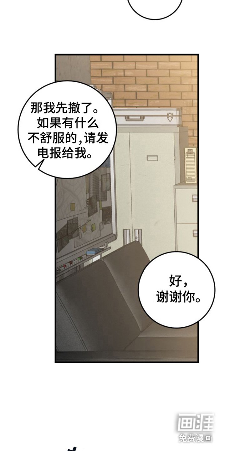 第16章：视频汇报