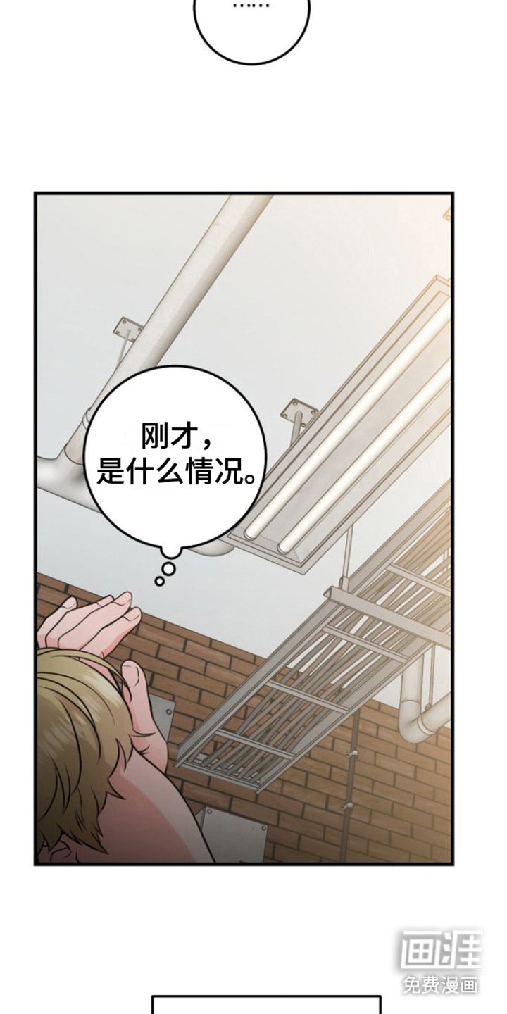 第16章：视频汇报
