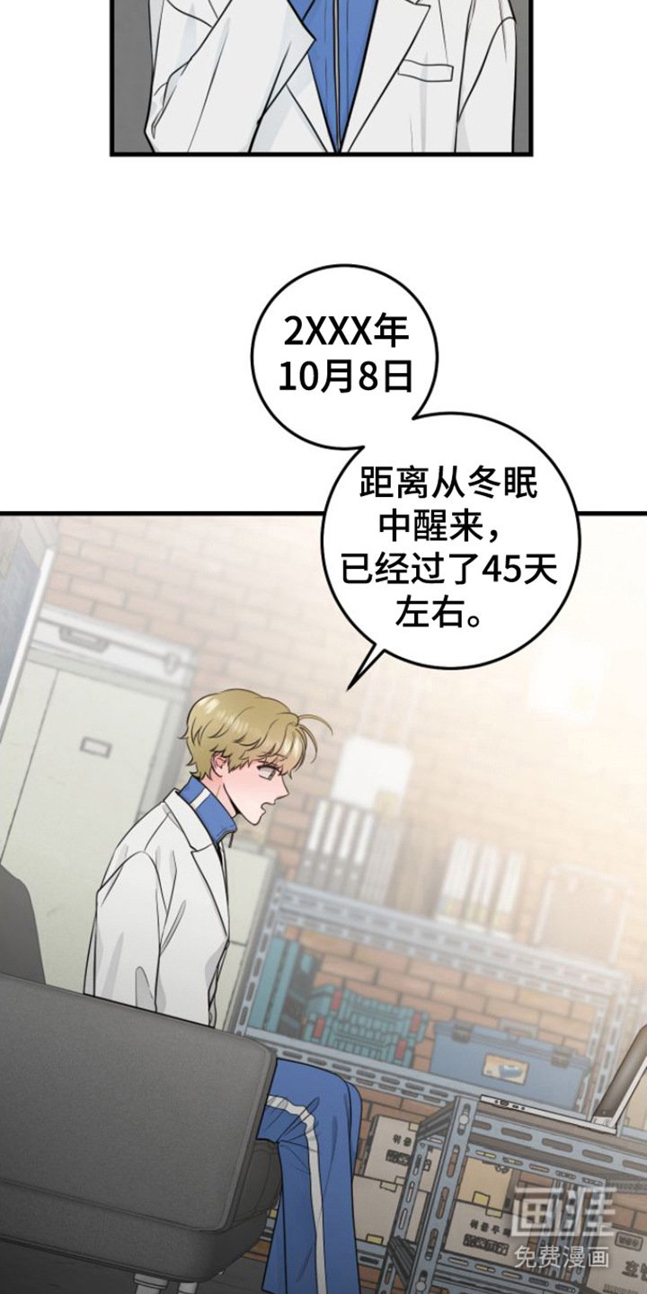 第16章：视频汇报