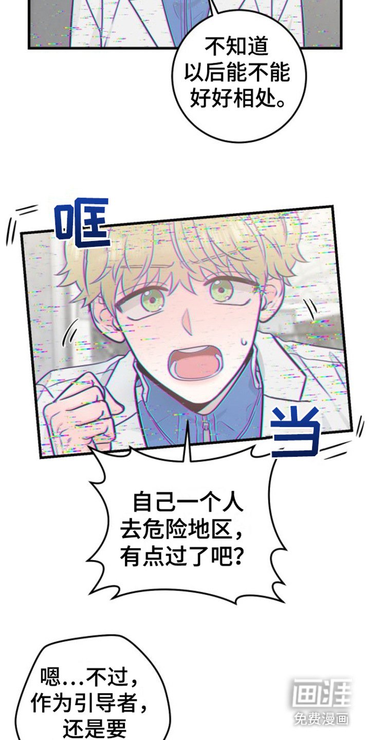 第16章：视频汇报