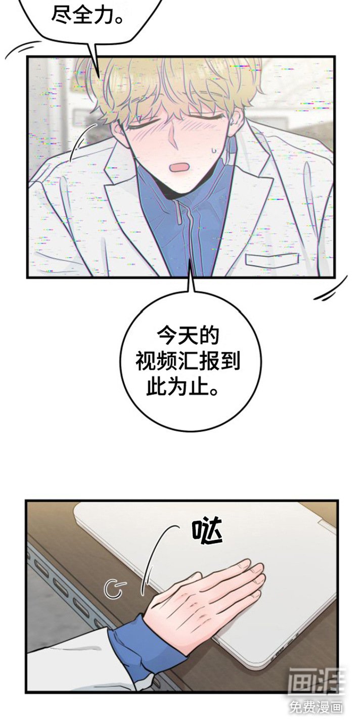 第16章：视频汇报