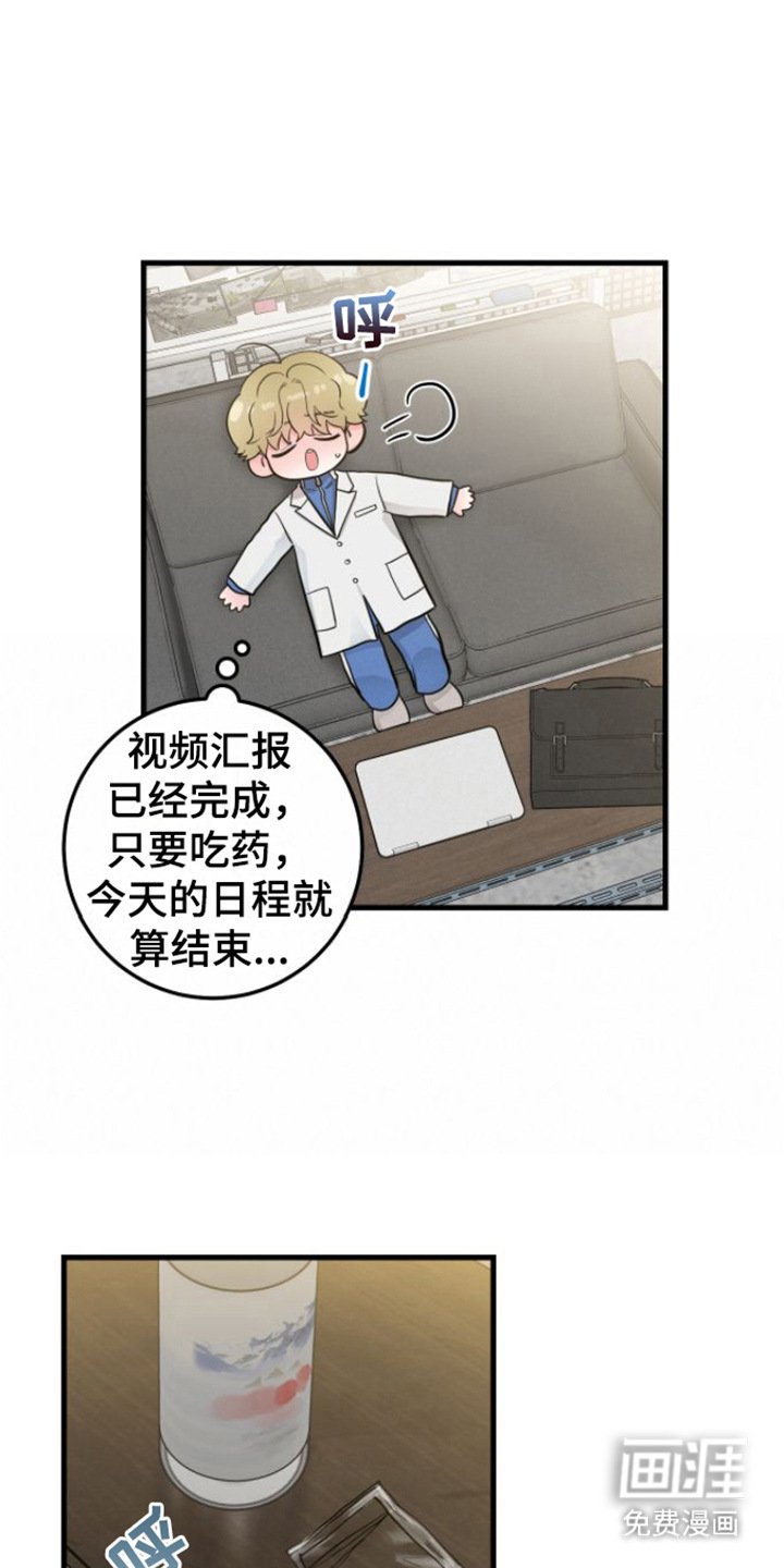 第16章：视频汇报