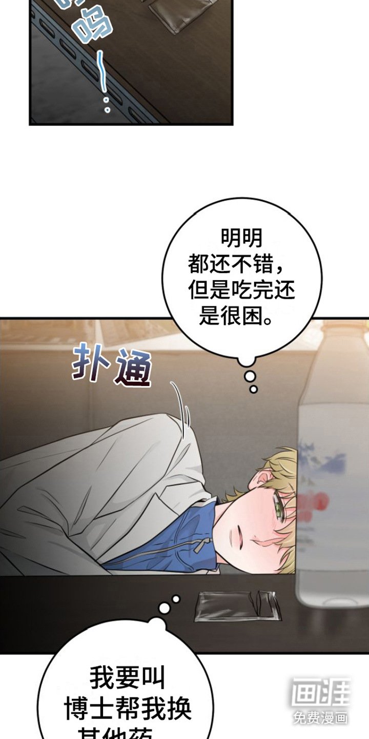 第16章：视频汇报