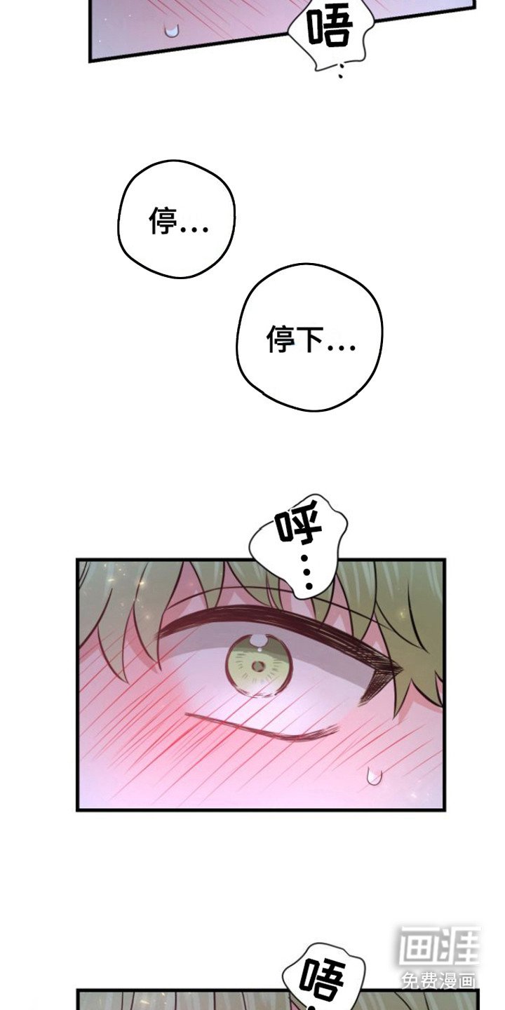 第19章：心软