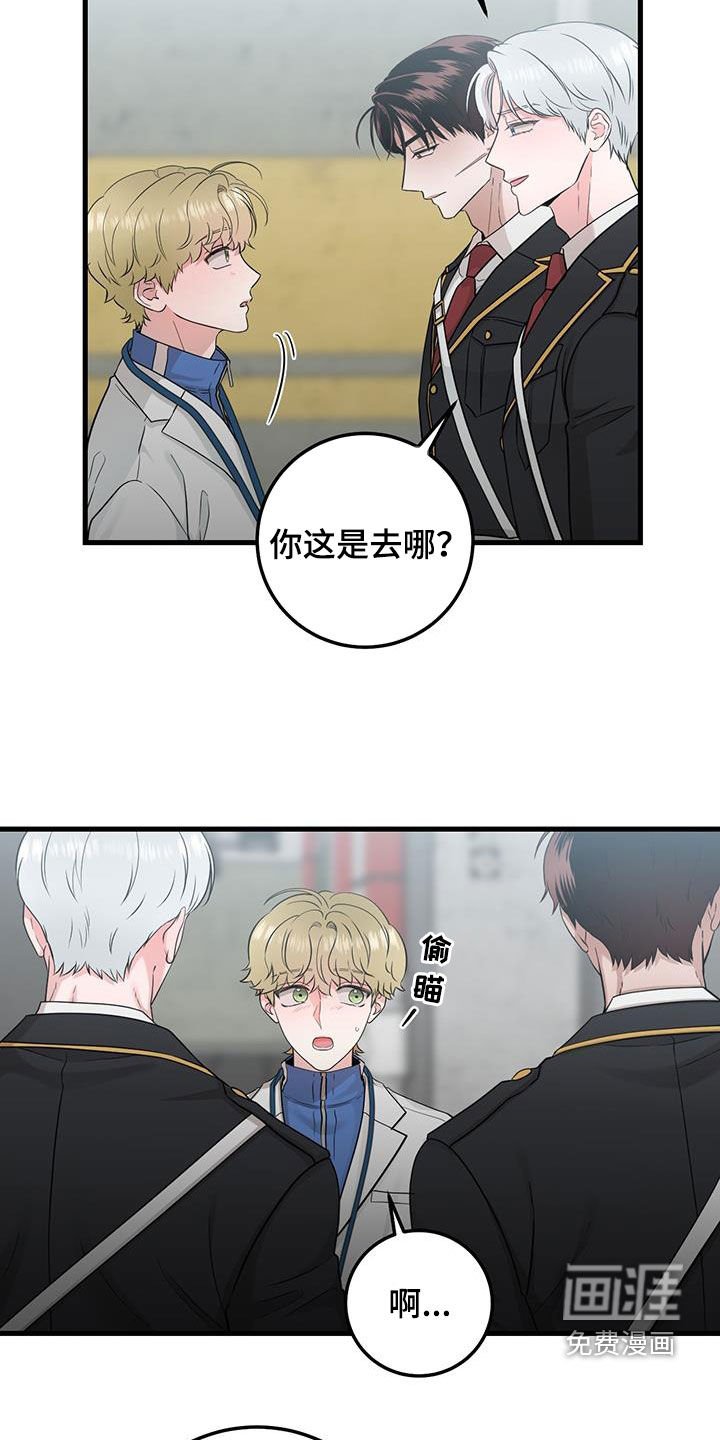 第29章：更换