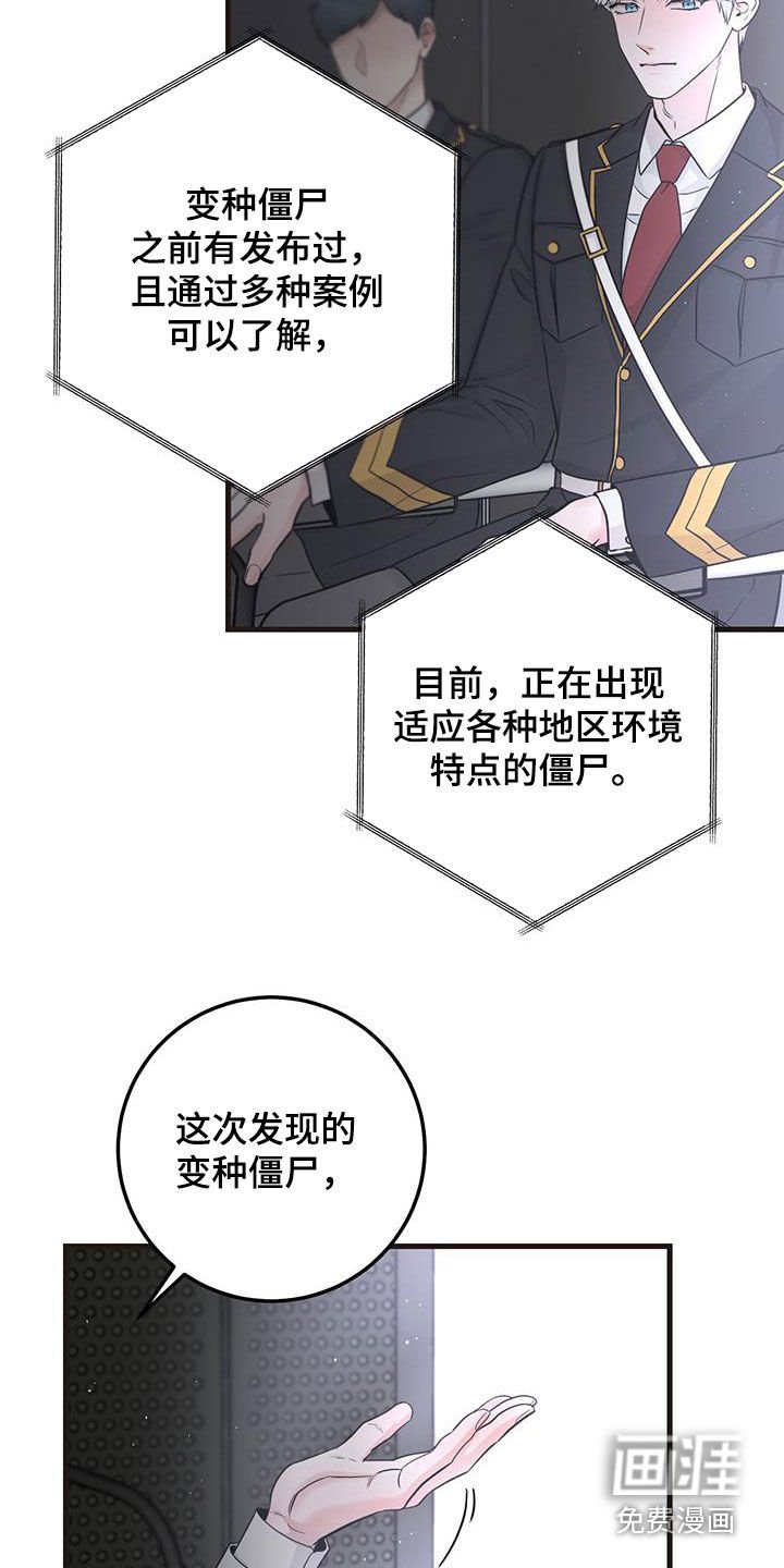 第34章：简报