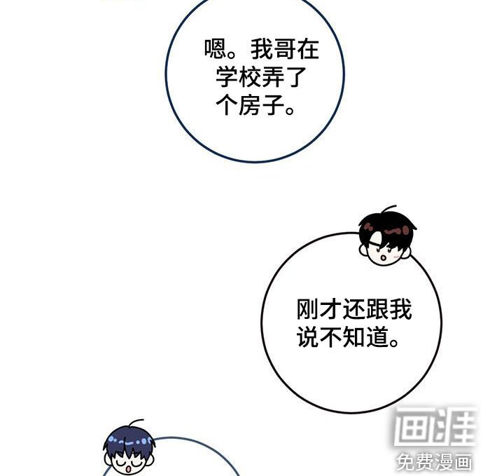 第51章：都已经死了