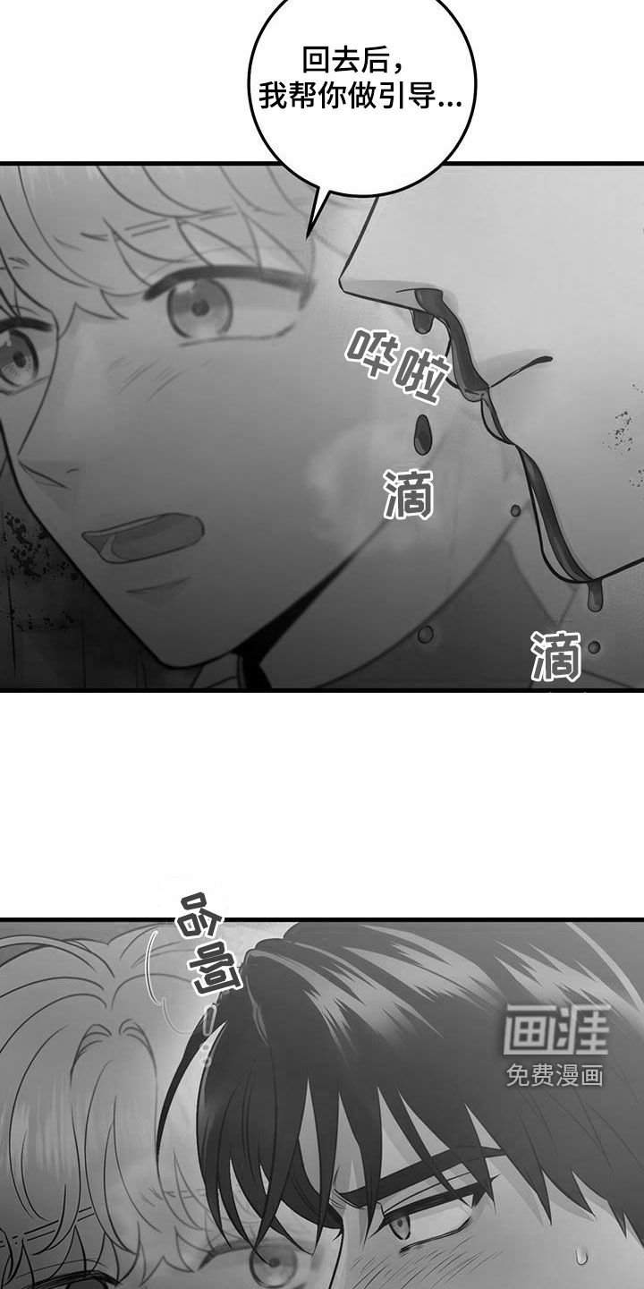 第55章：抓紧时间