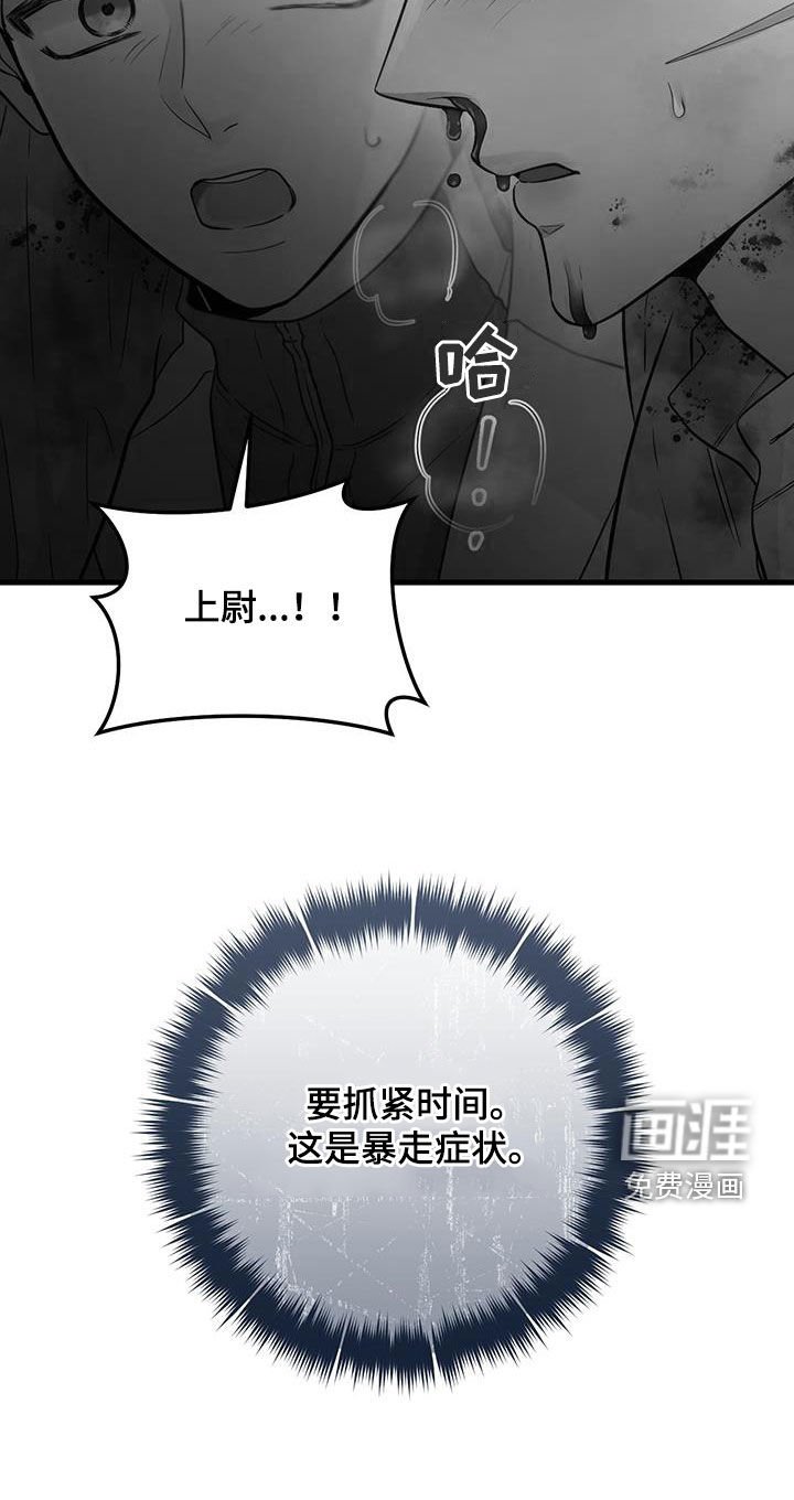 第55章：抓紧时间