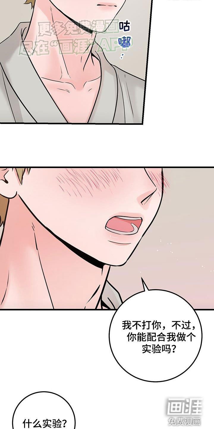 第61章：实验