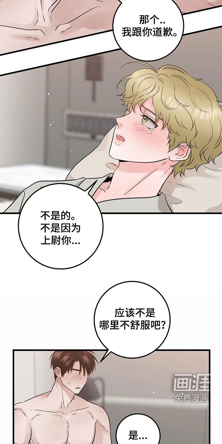 第62章：关系还不错