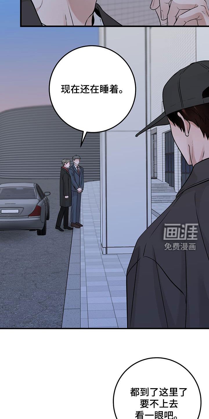 第62章：关系还不错