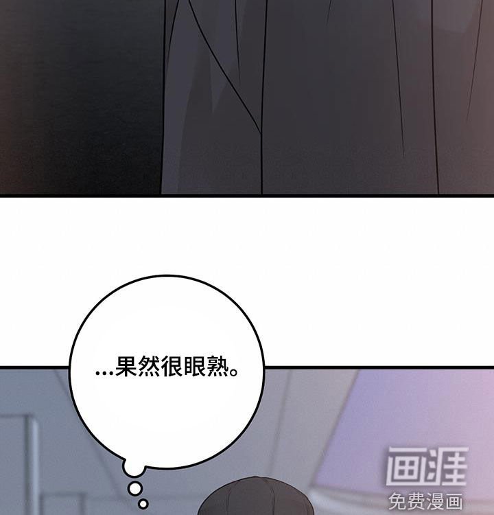 第62章：关系还不错