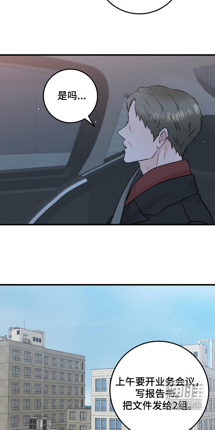 第62章：关系还不错