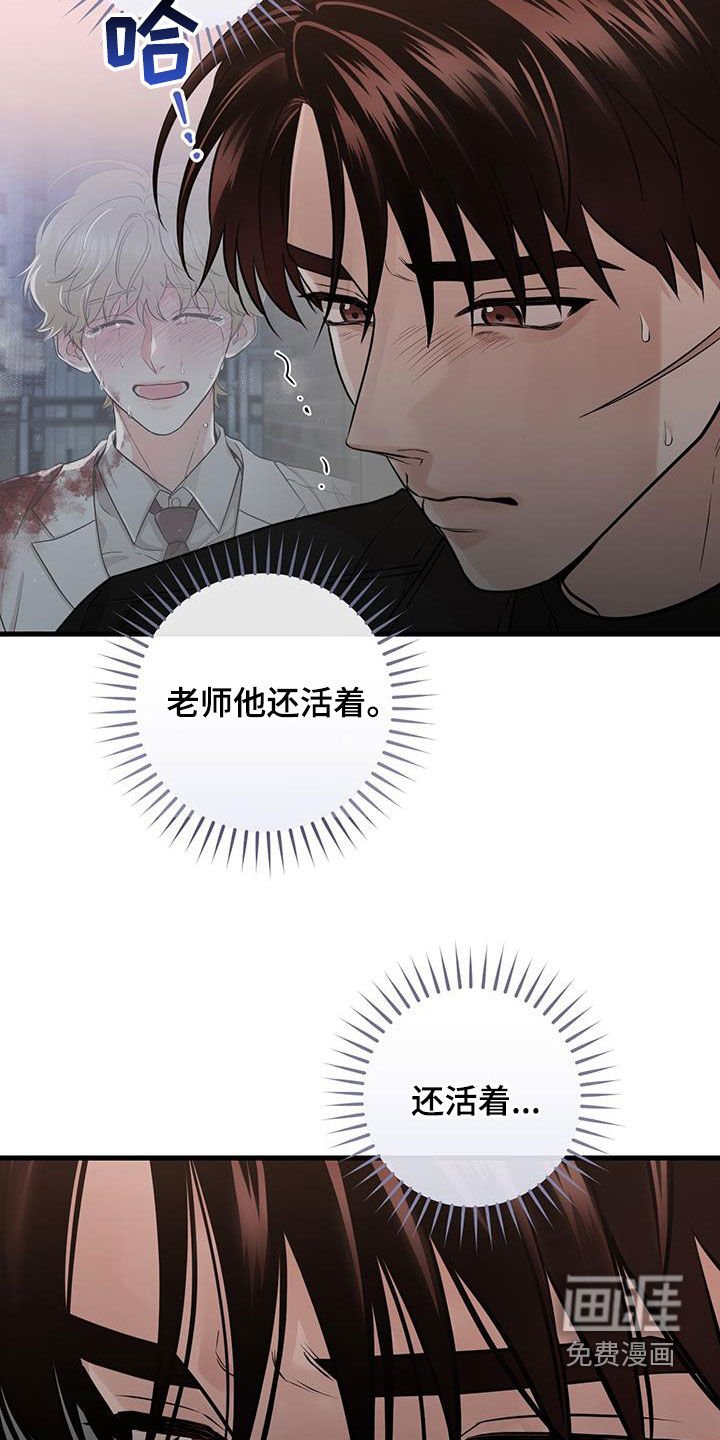 第65章：视频报告（第一季完结）