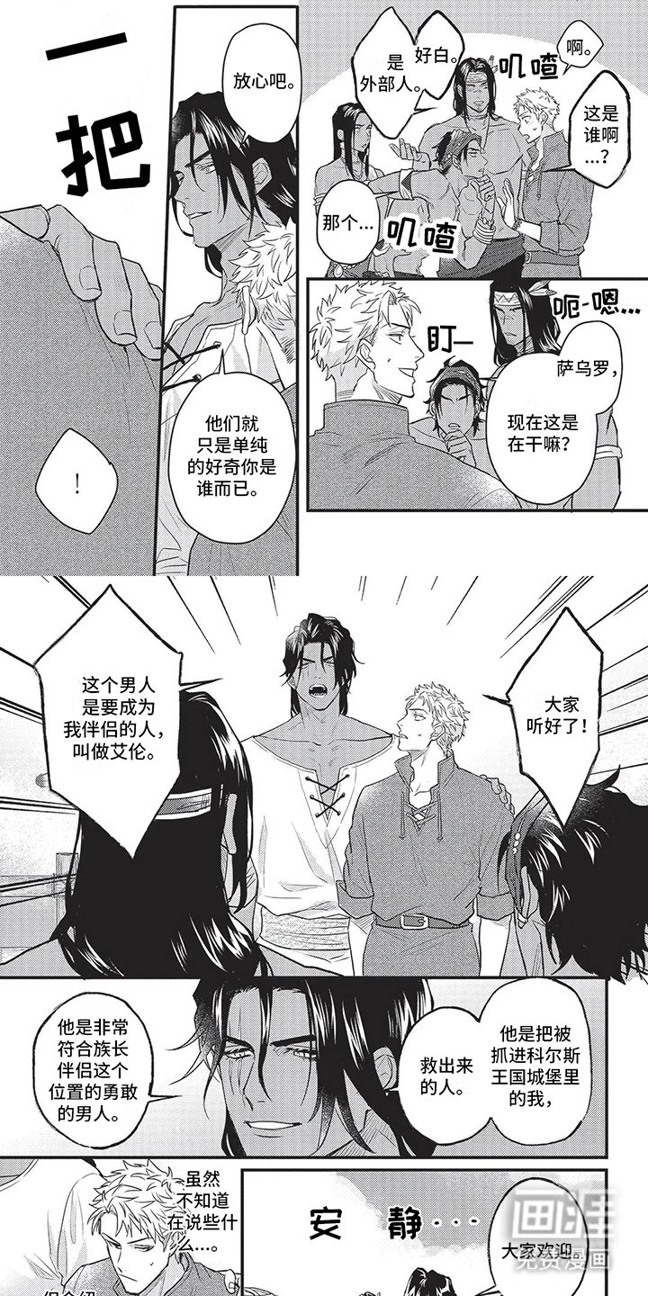 第11章：部族