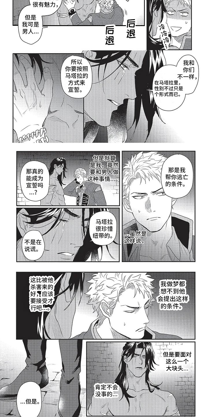 第3章：宣誓