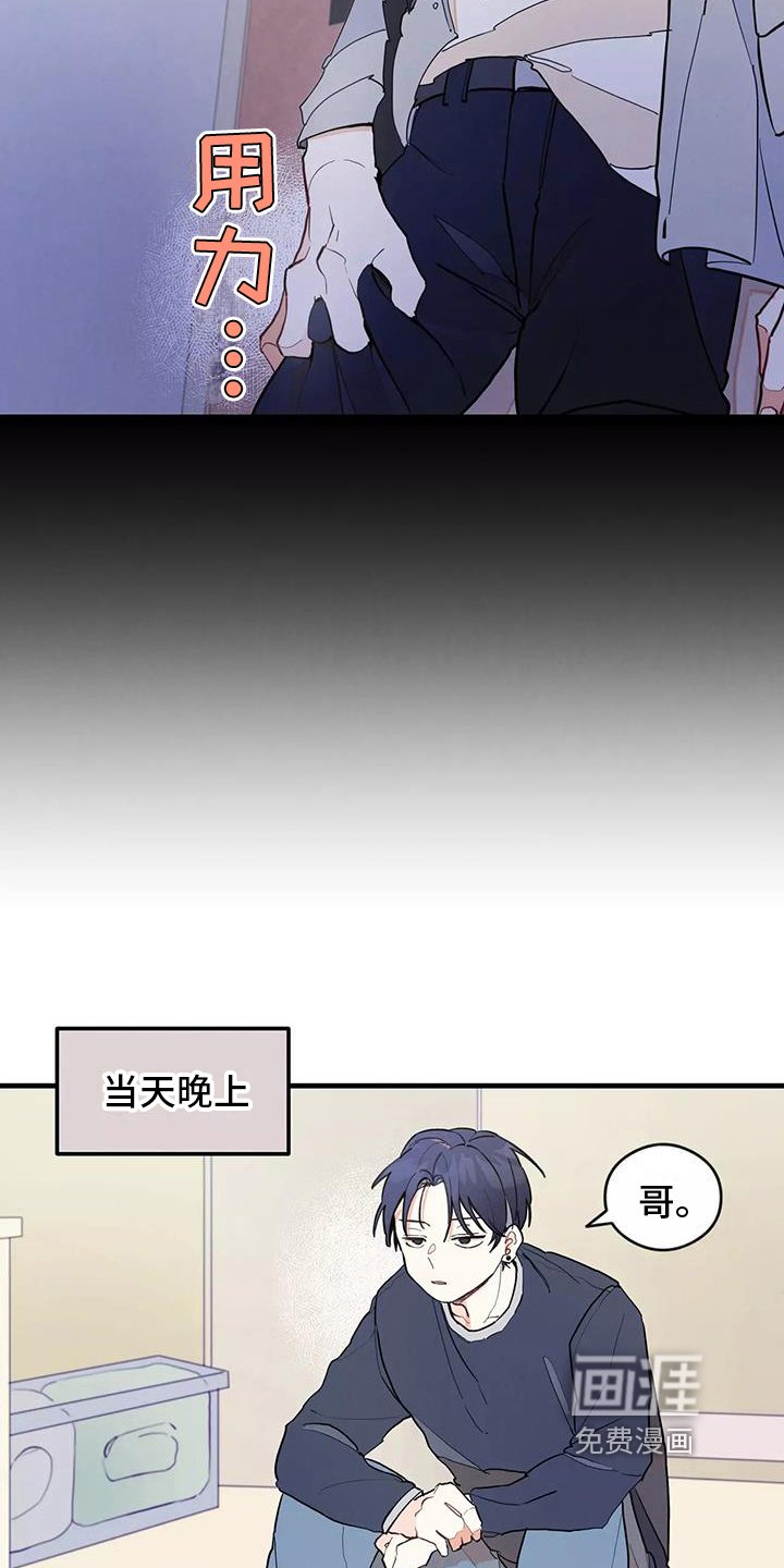 第11章：爱豆粉丝