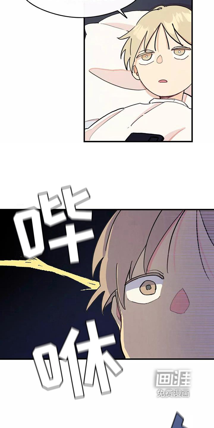 第12章：小心机
