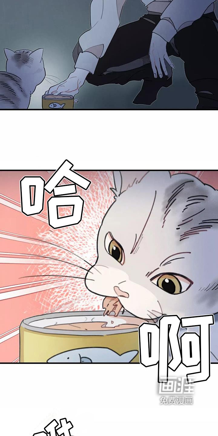 第13章：拒绝养猫