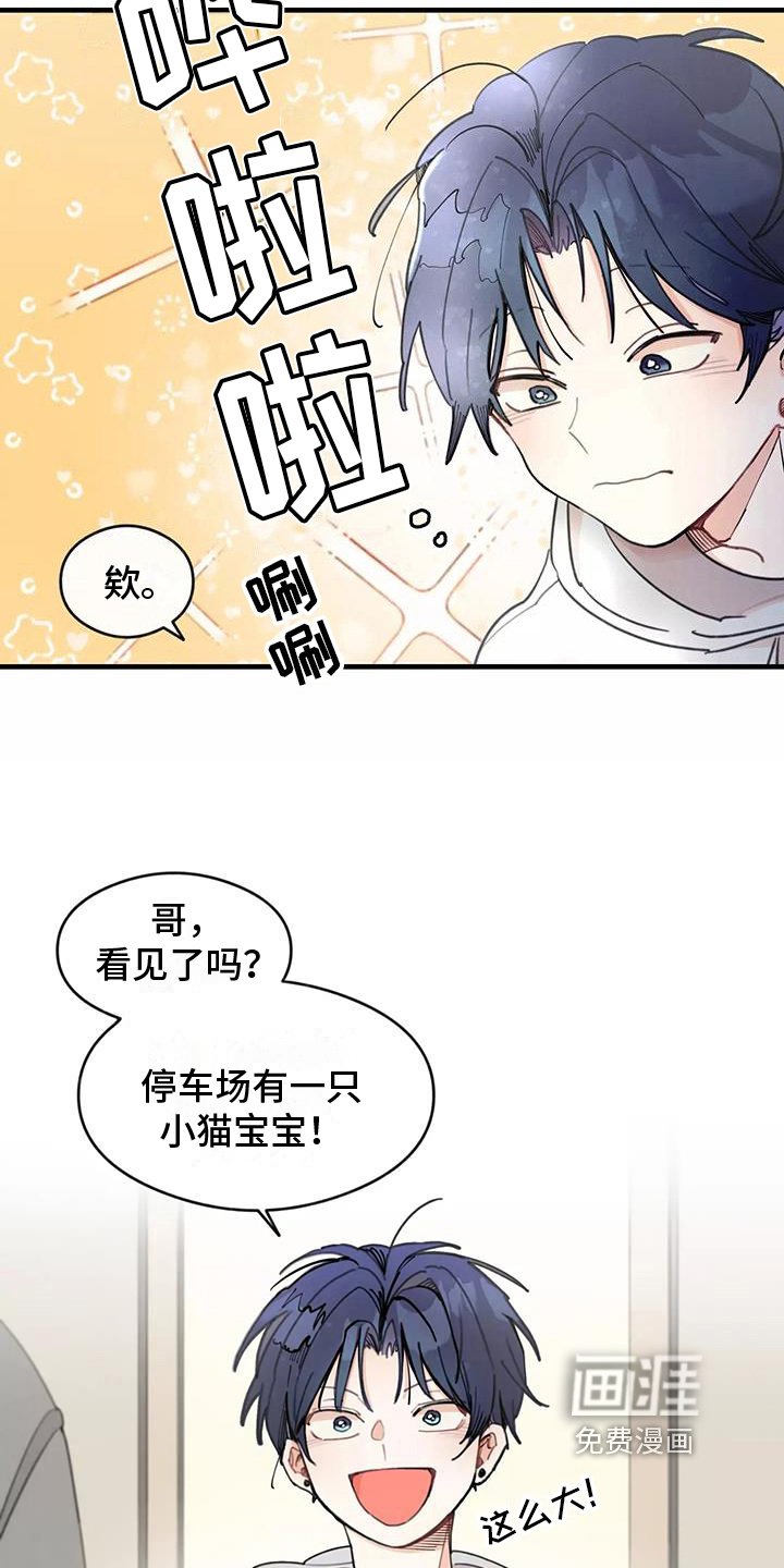 第13章：拒绝养猫