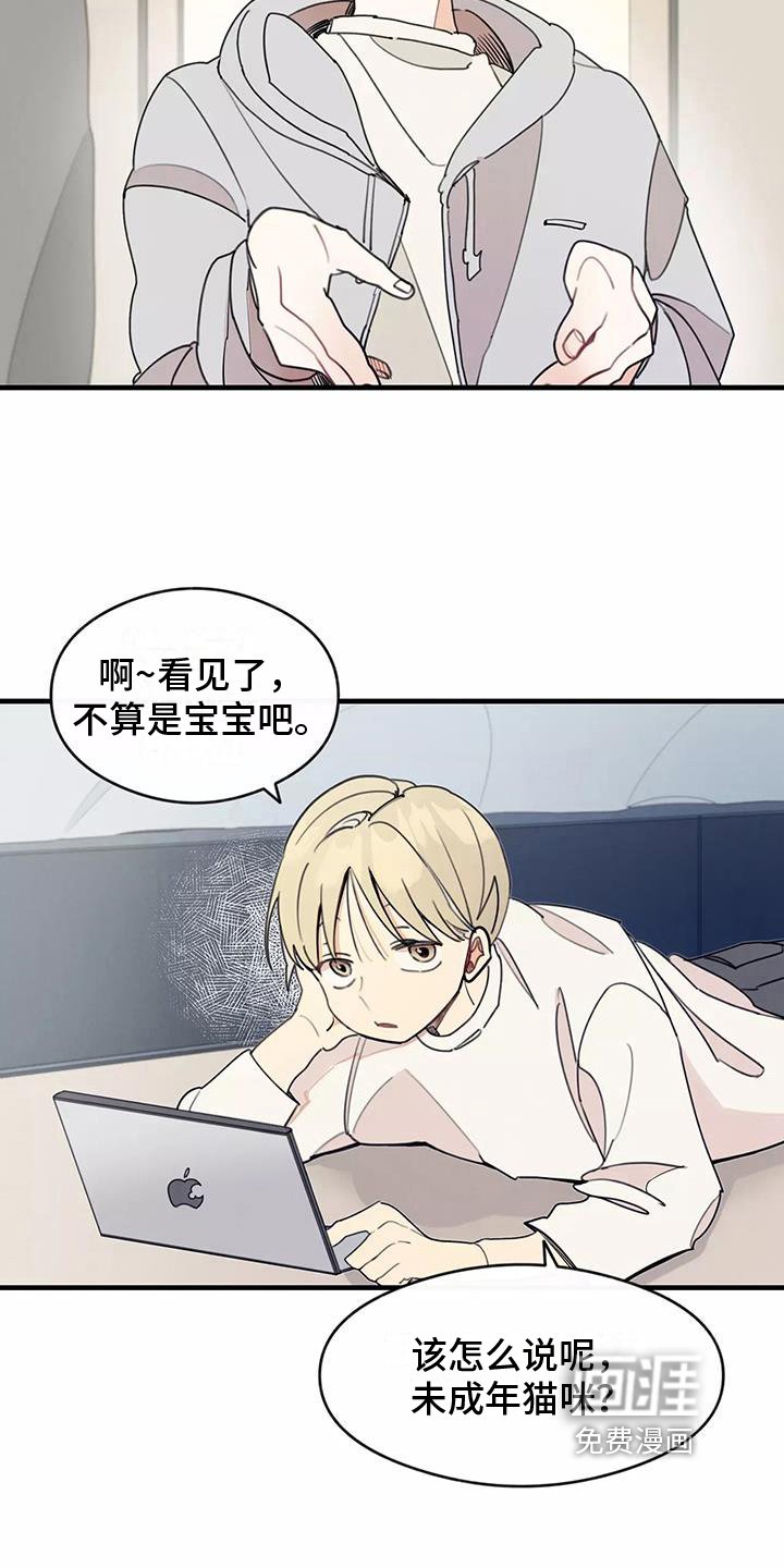 第13章：拒绝养猫