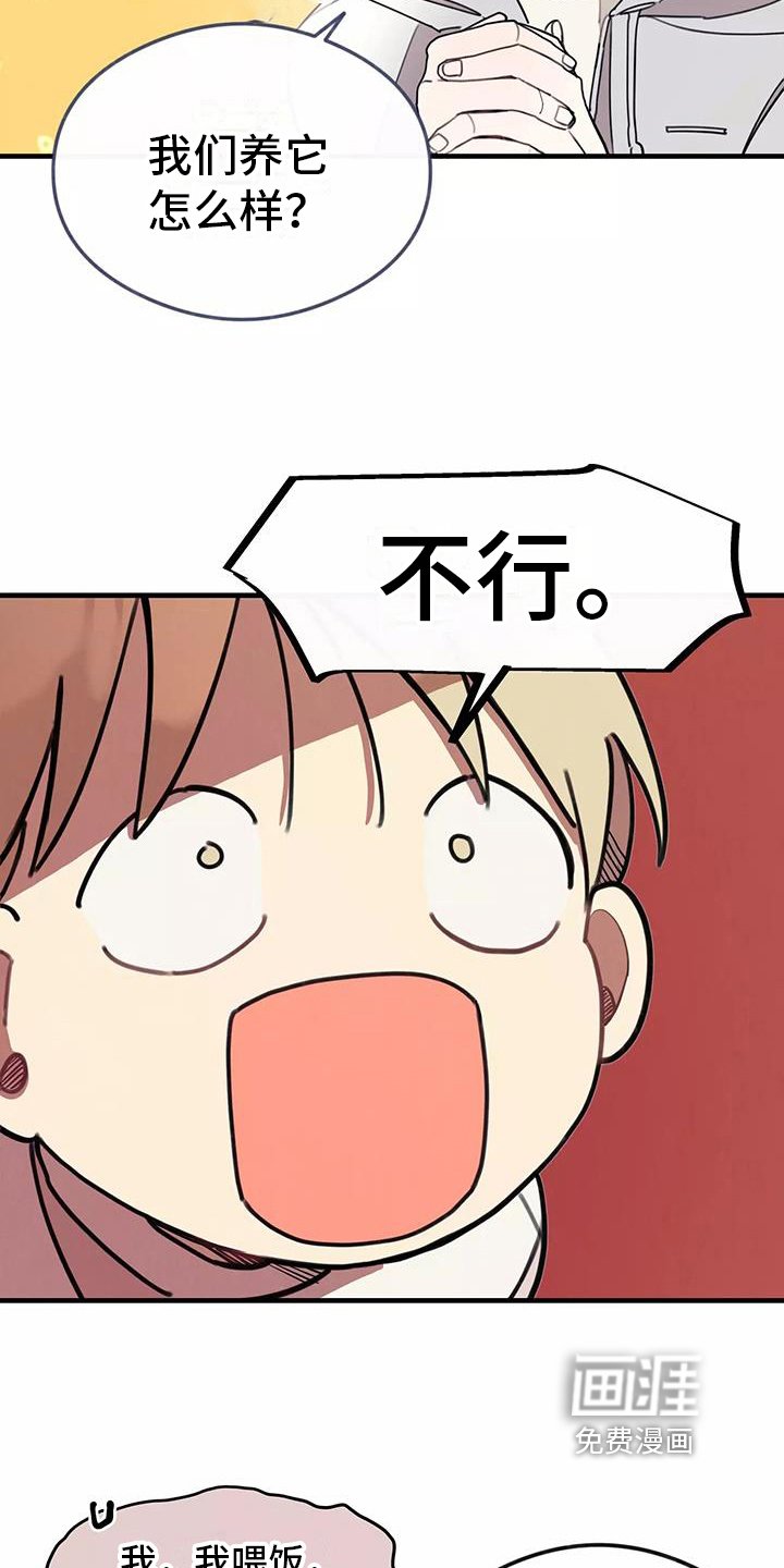 第13章：拒绝养猫