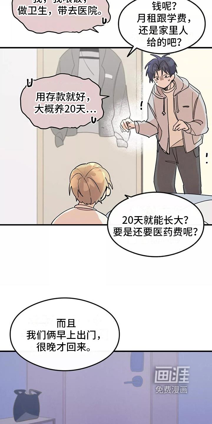 第13章：拒绝养猫