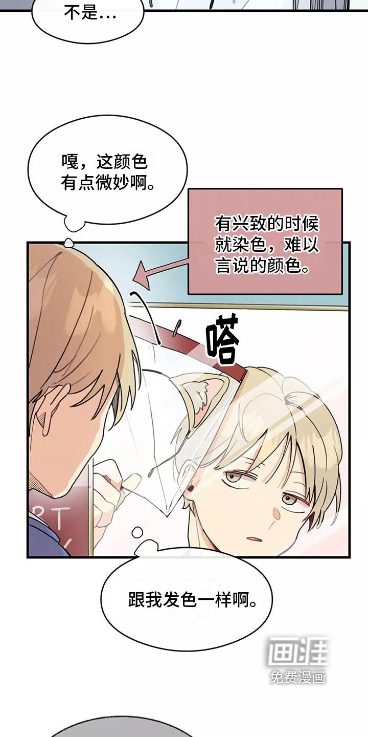第14章：想法