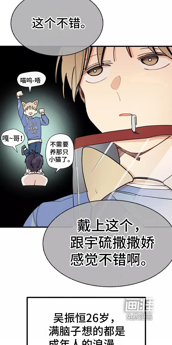 第14章：想法