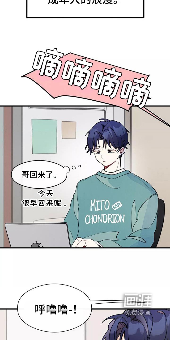 第14章：想法