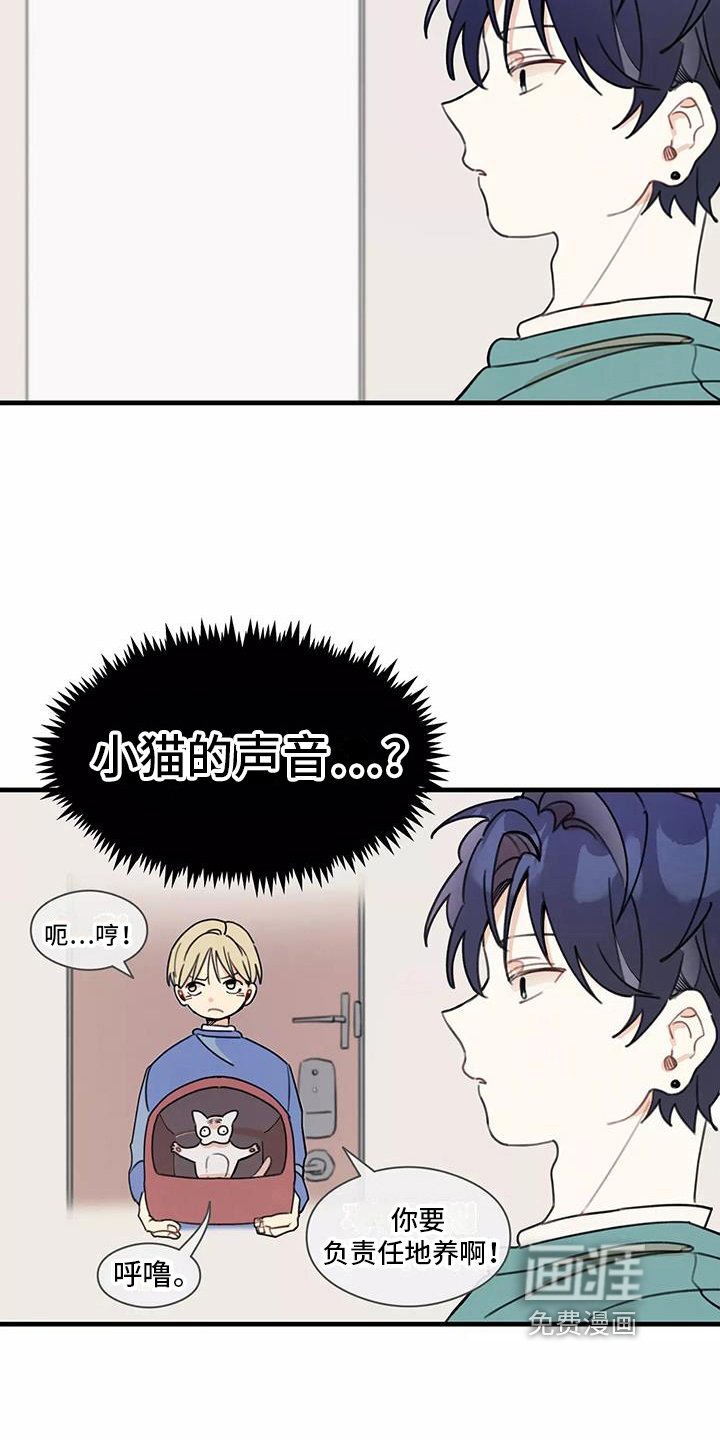 第14章：想法