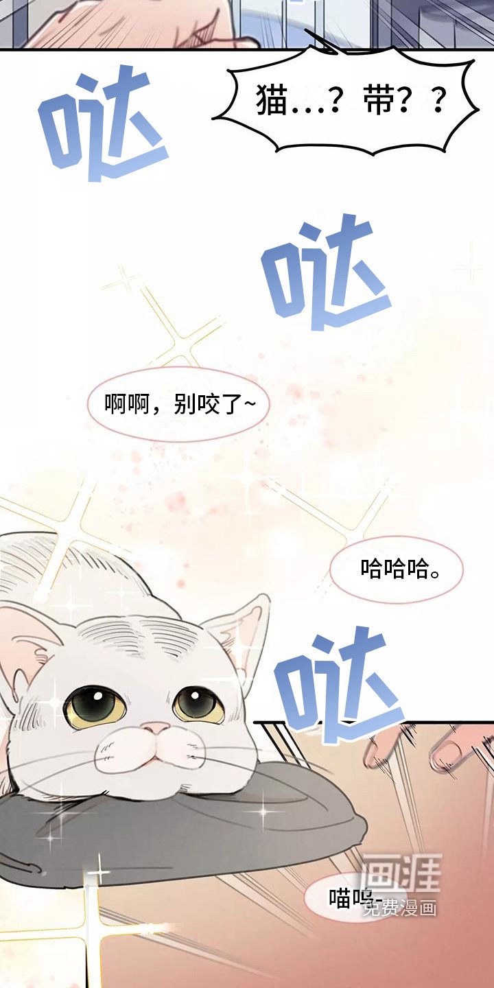 第14章：想法