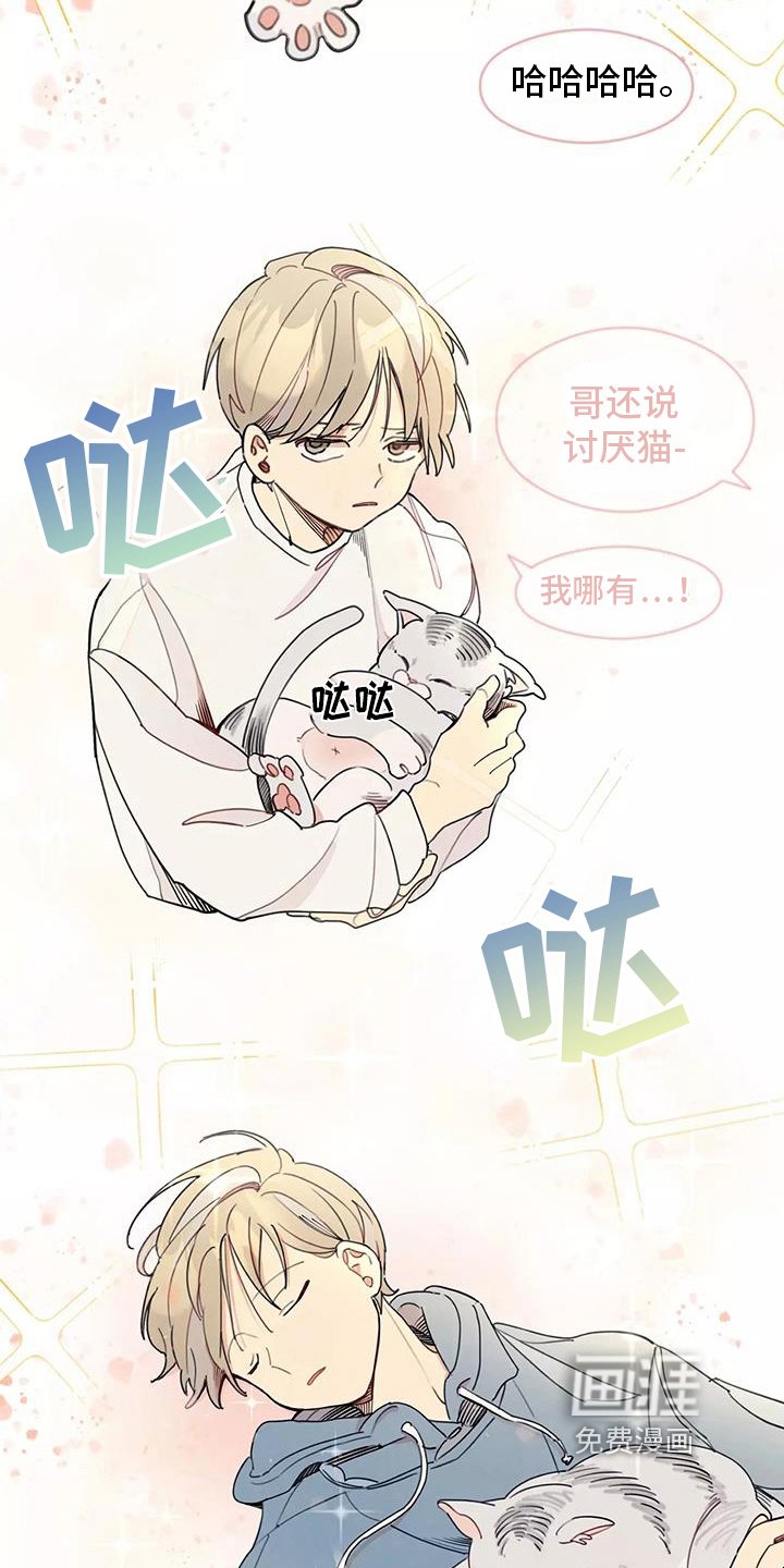 第14章：想法