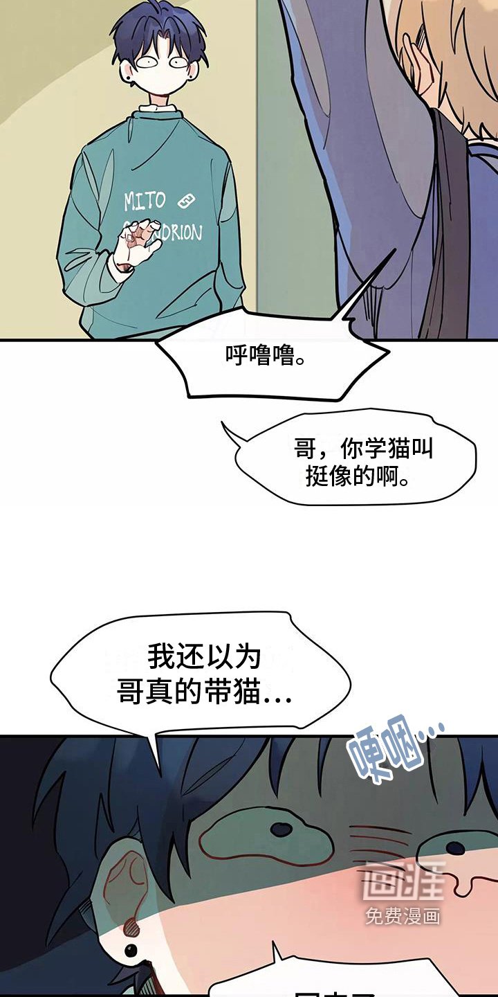 第15章：疑惑