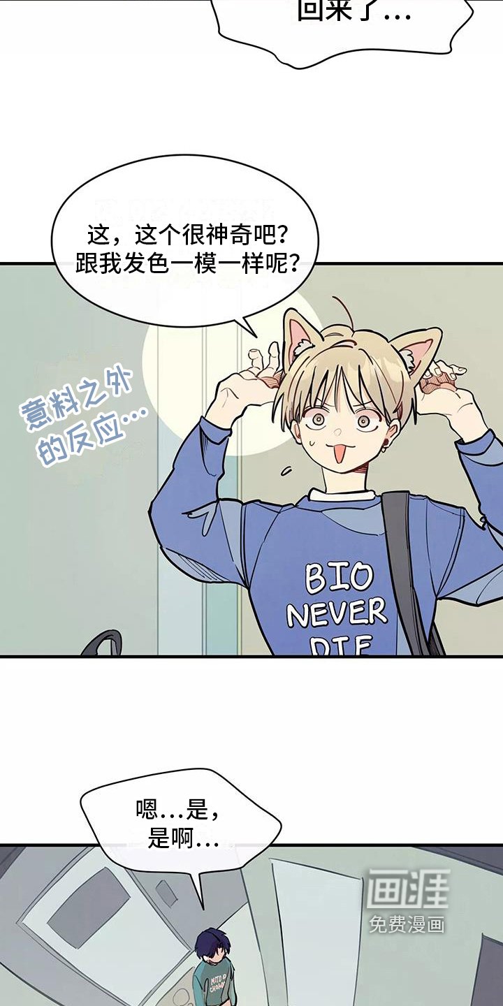 第15章：疑惑