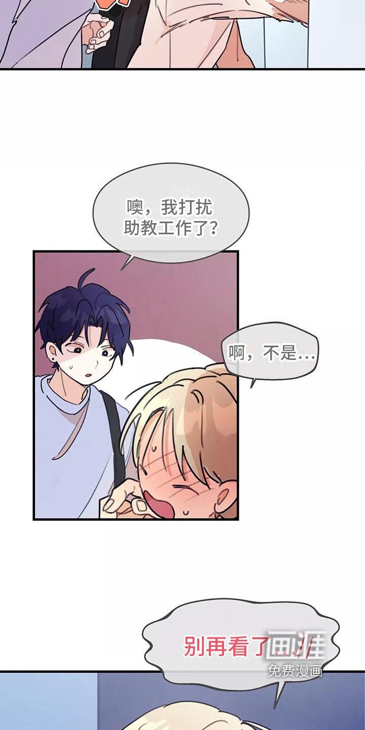 第16章：讨论