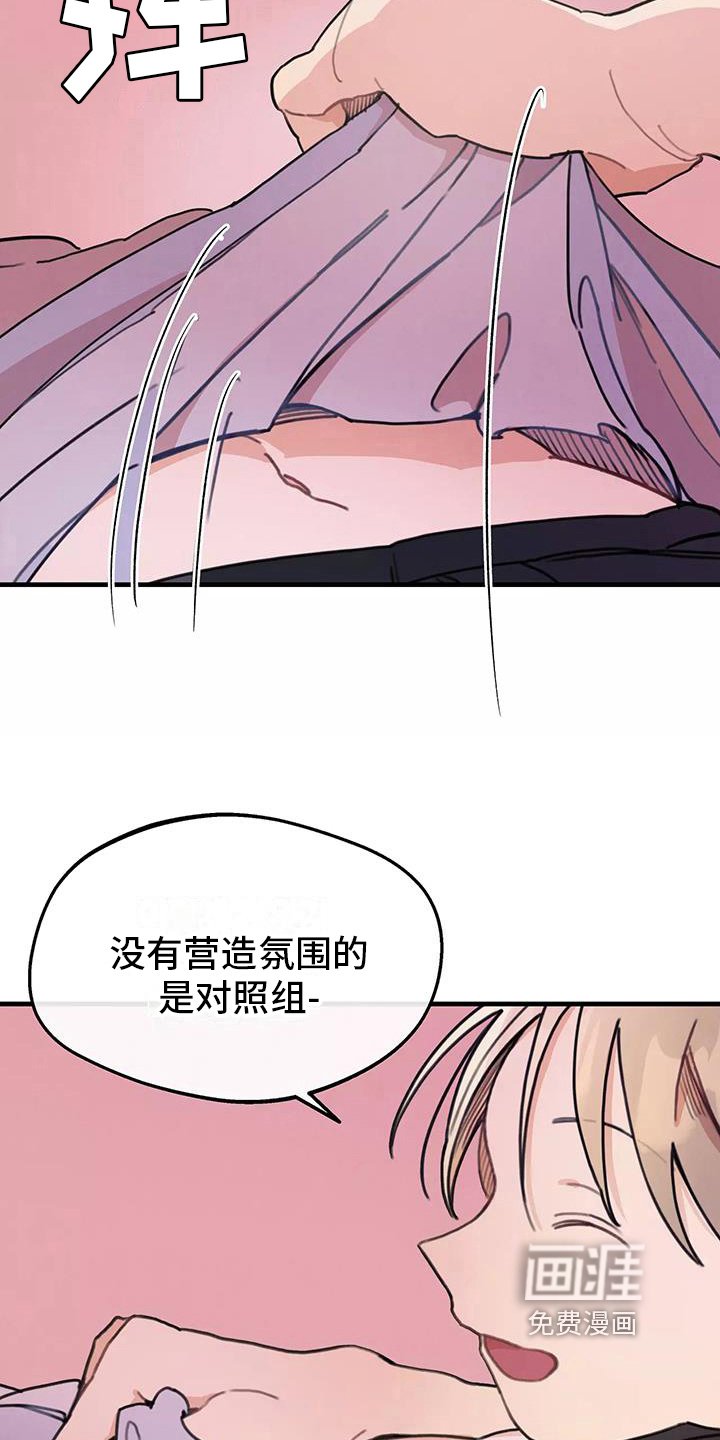 第16章：讨论