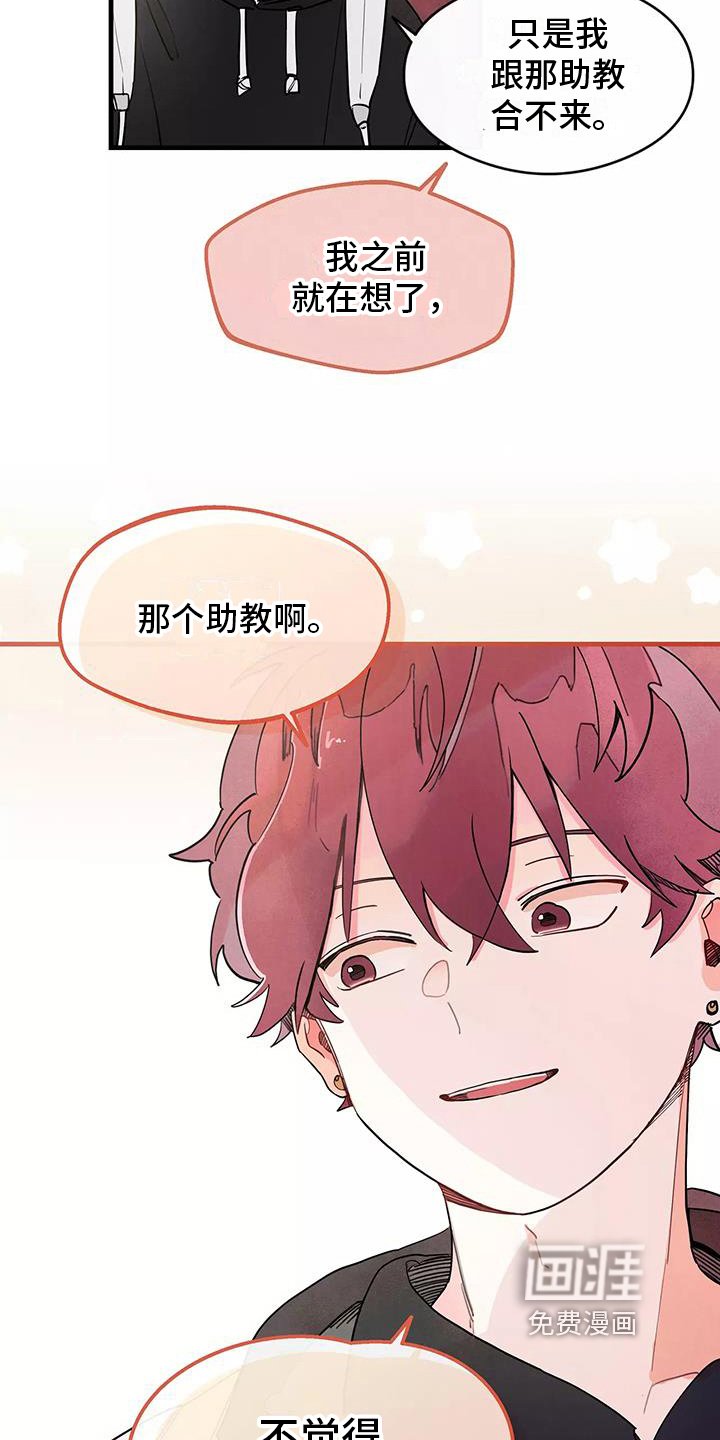 第19章：评价