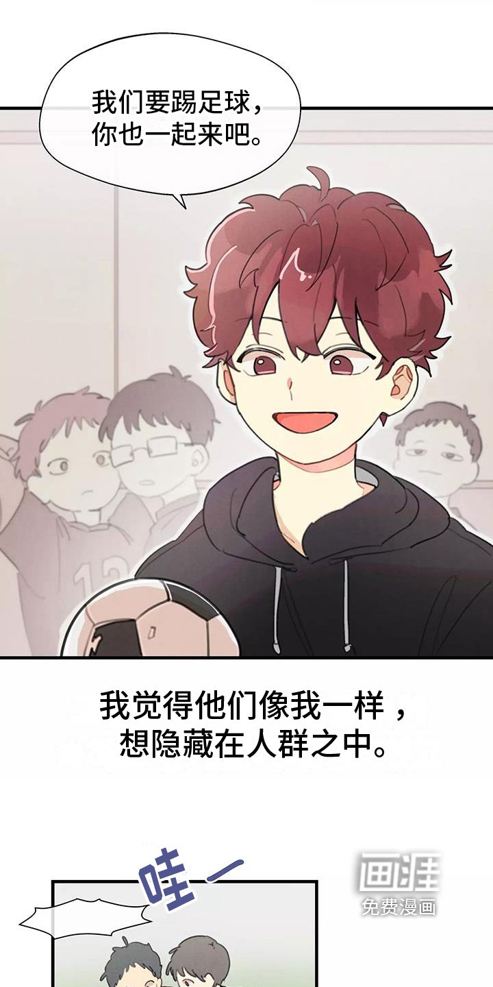 第19章：评价