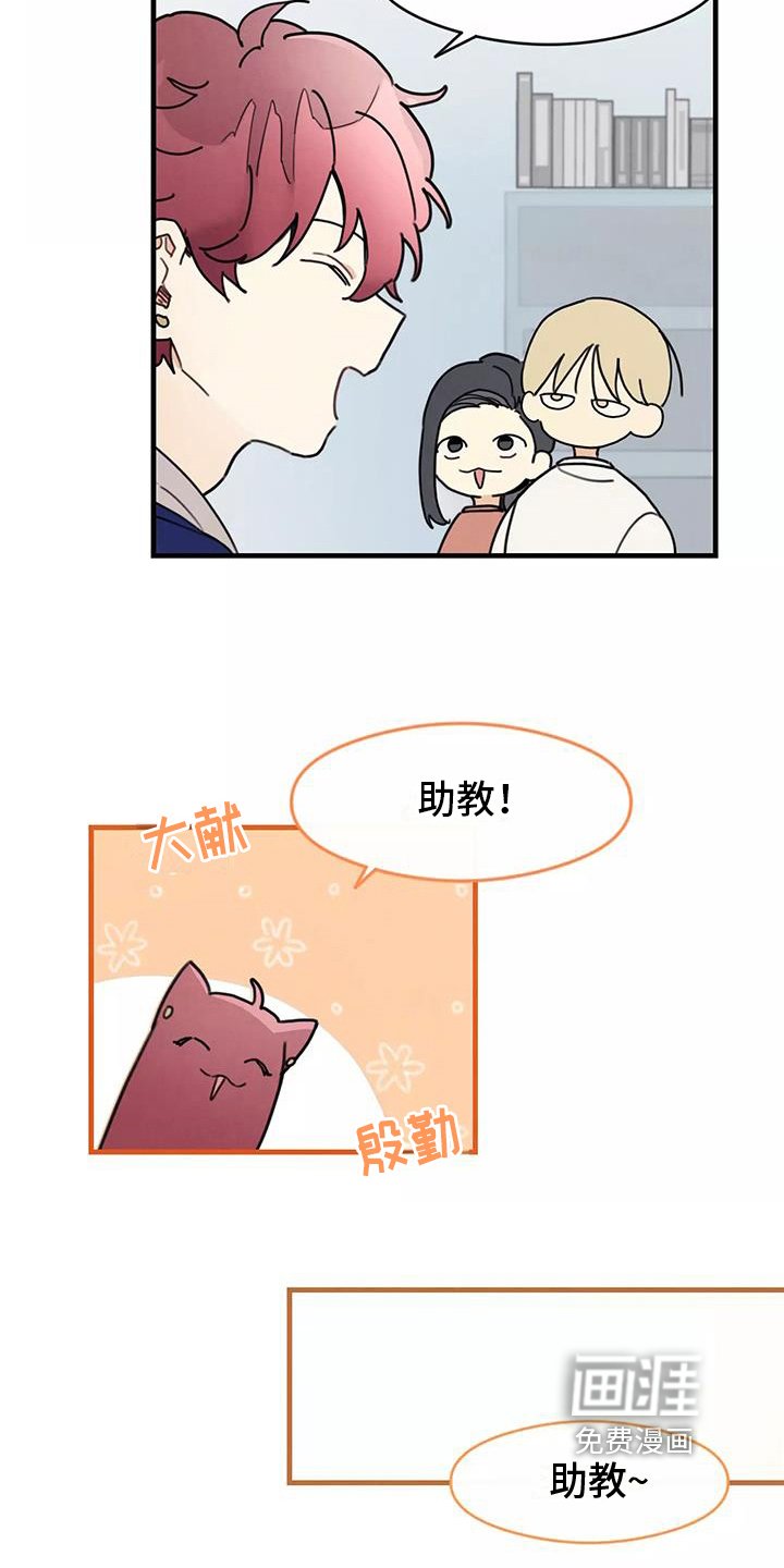 第20章：喜欢的类型
