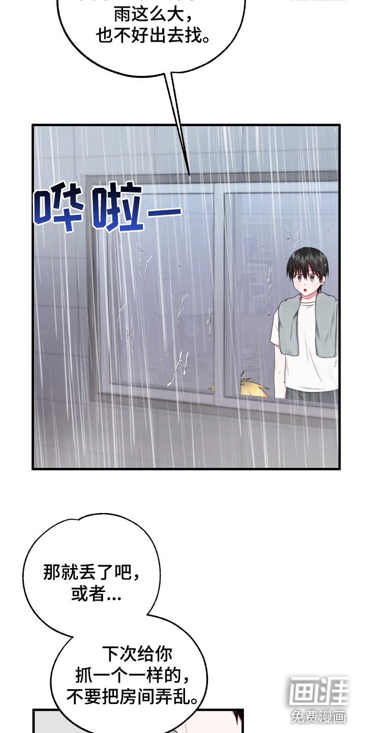 第12章：弄丢礼物