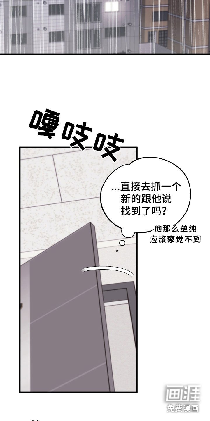 第13章：寻找